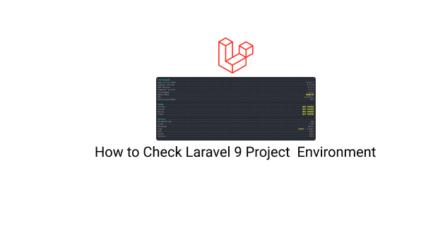 how to check laravel 9 project  environment