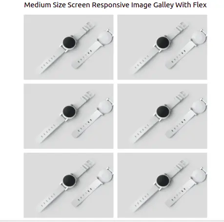  Medium Size Screen Responsive Image Galley With Flex.