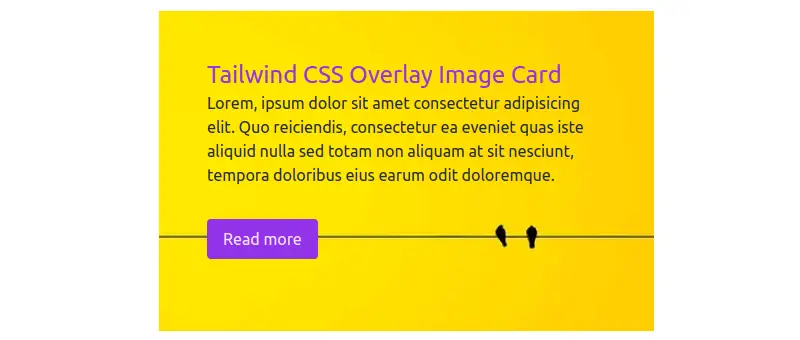 tailwindcss overlay image card